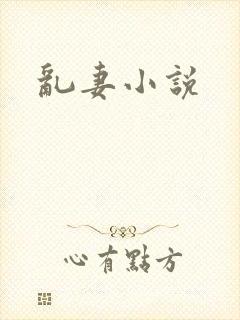 乱妻小说
