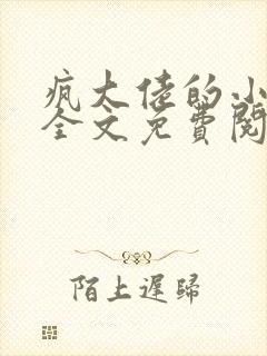 疯大佬的小玩物全文免费阅读小说