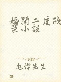 婚开二度欣欣向荣小说