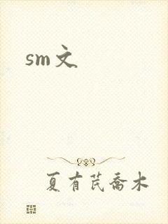 sm文