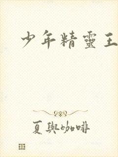 少年精灵王