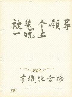 被几个领导玩弄一晚上