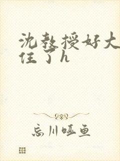 沈教授好大含不住了h