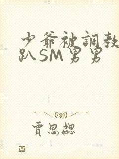 少爷被调教室跪趴SM男男