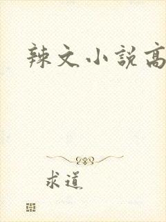 辣文小说高h