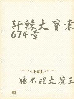 轩辕大宝袁雪妃674章