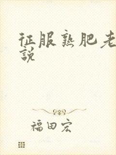 征服熟肥老妇小说