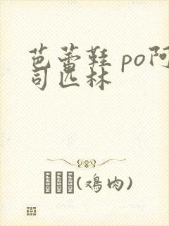 芭蕾鞋 po阿司匹林