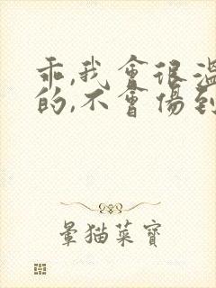 乖,我会很温柔的,不会伤到你小说