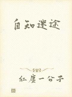 自知迷途