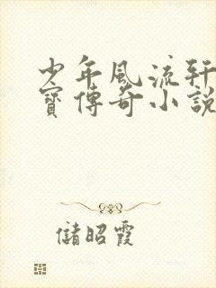 少年风流轩辕大宝传奇小说