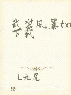 武装风暴txt下载