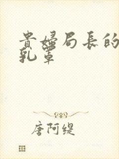 贵妇局长的蕾丝乳罩