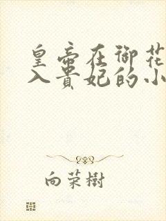 皇帝在御花园进入贵妃的小说