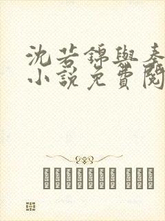 沈若锦与秦琅的小说免费阅读