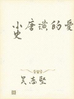 小唐璜的爱情历史