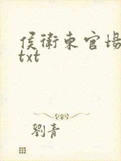 侯卫东官场笔记txt