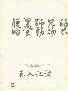 腹黑师兄的日常肉食动物不食草