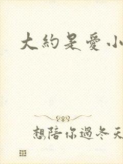 大约是爱小说