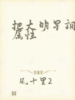 把大明星调成专属性