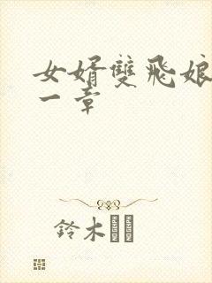 女婿双飞娘俩第一章