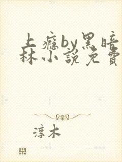 上瘾by黑暗森林小说免费