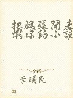 把腿张开老子臊烂你的小说