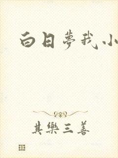 白日梦我小说