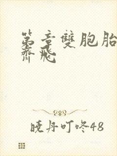 第章双胞胎姐妹齐飞