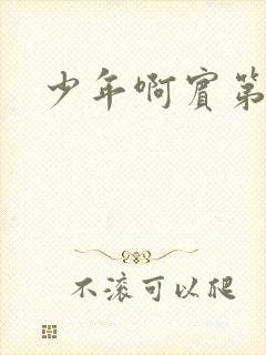 少年啊宾第二部