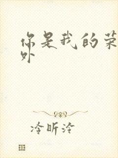 你是我的荣耀番外