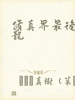 修真界最后一条龙