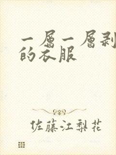 一层一层剥掉你的衣服