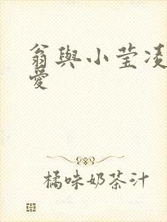 翁与小莹凌晨欢爱