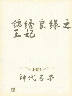 锦绣良缘之北地王妃