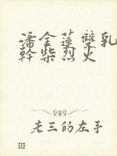 潘金莲双乳晃动干柴烈火