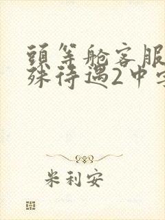 头等舱客服的特殊待遇2中字