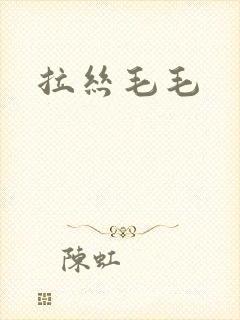 拉丝毛毛
