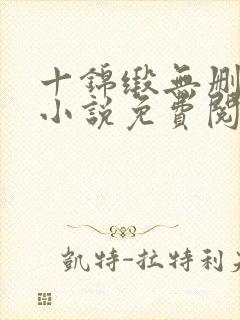 十锦缎无删原著小说免费阅读