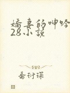 娇妻的呻吟1—28小说