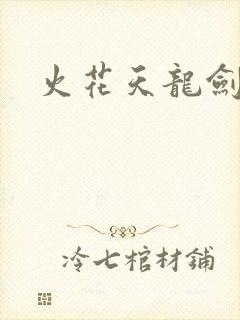 火花天龙剑