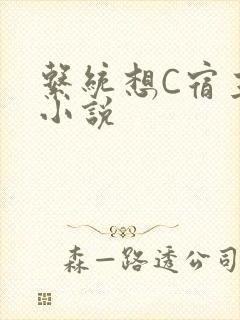 系统想C宿主的小说