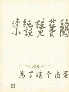 清纯校花的秘密小说免费阅读