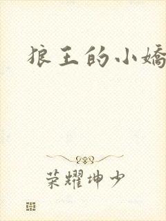 狼王的小娇妻