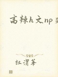 高辣h文np爽
