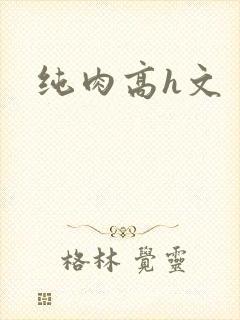 纯肉高h文