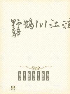 野鹤1v1江淮辞