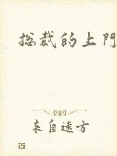 总裁的上门女婿