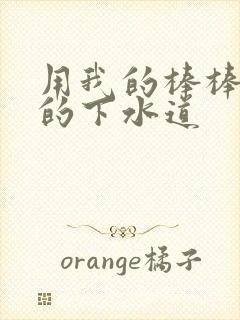 用我的棒棒通你的下水道