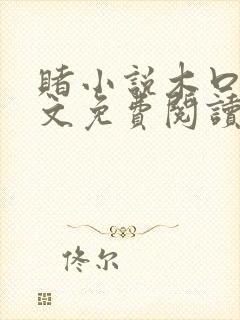 赌小说木口银全文免费阅读笔趣阁